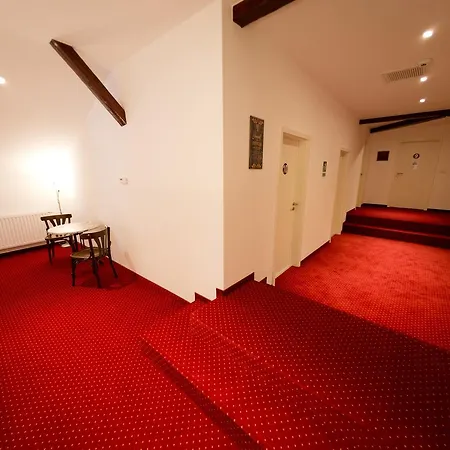 Casa Luna Rosa Vandrerhjem Timişoara