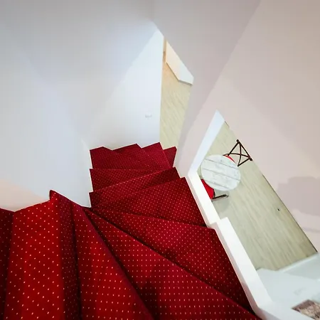 Casa Luna Rosa Vandrerhjem Timişoara